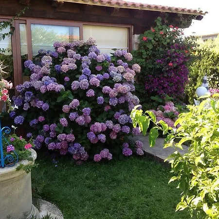 Residenze Sole 2*