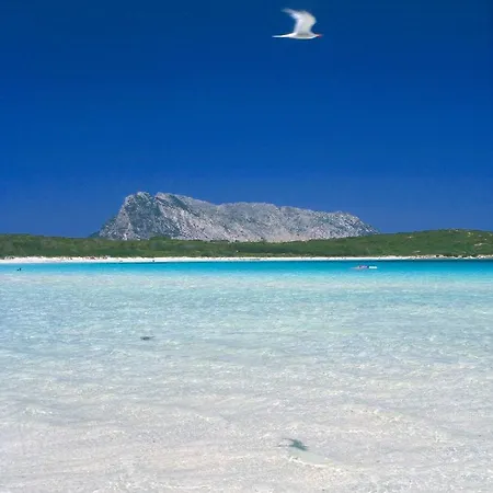 Residenze Sole Hotel